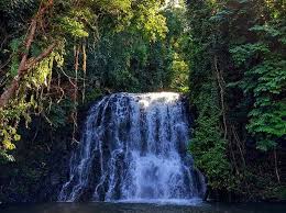 Air terjun tersebut dinamakan air terjun binangalom ada beberapa yang familiar dengan nama air biasanya biaya yang dibutuhkan untuk sewa kapal ke air terjun binangalom ini adalah sekitar rp. 378 Tempat Wisata Di Kalimantan Timur Yang Paling Menarik Dan Wajib Dikunjungi Tempat Me