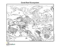 This deep sea fish coloring pages will helps kids to focus while developing creativity, motor skills and color … 1. Coloring Pages National Geographic Society