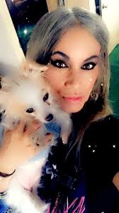 Introduction of new Chihuahua family member