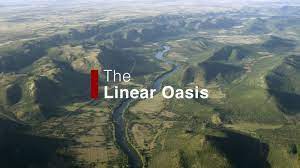 Two directionless millennial bros get high and pitch a bold new social justice app that raises millions. Life From Light How To Grow A Planet Watch Free Online Documentaries Ihavenotv Com