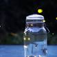 Firefly Garden Hike