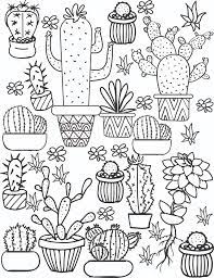 Kindergarten worksheets are frequently offered. Cactus And Succulent Printable Adult Coloring Pages