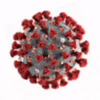 Coronavirus victim being wheeled across the street. Corona Virus Gif By Titounis Find Share On Giphy