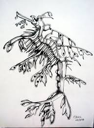 Leafy Sea Dragon 1 By Clvmoore On Deviantart Leafy Sea Dragon Sea Dragon Sea Creatures Art