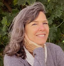 Book review of All That Shimmers