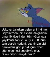 Duru Erdogan Adli Kullanicinin Kisisel Gelisim Panosundaki Pin Bilgi Bilgi Alintilari Biliyor Muydunuz