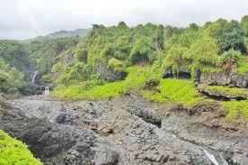 Image result for Kuloa