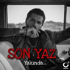 Idealist cumhuriyet savcısı selim kara (ali atay),8 yıl önce hapse yolladığı organize suç lideri selçuk taşkın'dan (arif pişkin) reddedemeyeceği bir teklif alır. Son Yaz Dizisi Oyuncu Kadrosu Konusu Tam Liste Gezen Vatandas