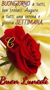 194 Immagini E Frasi Di Lunedi Da Scaricare Gratis Buongiornospeciale It Buon Lunedi Lunedi Buongiorno
