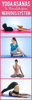 10 Effective Yoga Asanas To Stimulate Your Nervous System Yoga Asanas Easy Yoga Poses Yoga Poses