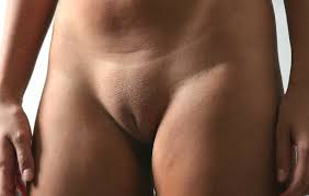 Datei:02 Genitalien.jpg – Wikipedia