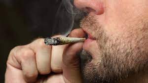 Quitting weed made me depressed reddit. Hardcore Pot Smoking Could Damage The Brain S Pleasure Center Science Aaas