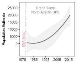 study 77 percent of marine mammals sea turtles recovering