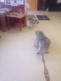 Lafayette Animal Hospital 2059 Lafayette Rd Portsmouth Nh Veterinarians Mapquest