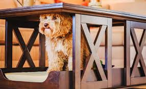 Anyway it wasn't hard to get autumn on board (if it has to do with pets.she's in)!! Sharing Your Space With Your Furry Loved Ones Ideas From Sauder Sauder Woodworking