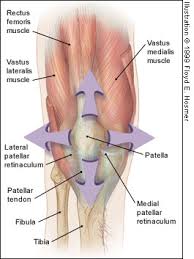 Patellofemoral Pain Syndrome A Review And Guidelines For Treatment American Family Physician