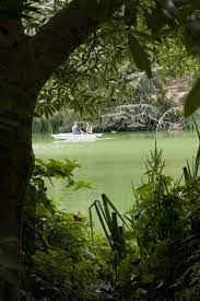 Romantic Boat Ride Stowe Lake Golden Gate Park San Francisco Golden Gate Park San Francisco Golden Gate Park Golden Gate