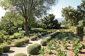 Family Compound Landscape Design By Paulhendershotdesign Com Landscape Design Tuscan Landscape Design Mediterranean Landscaping