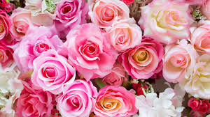 Obituary information for Mary Jane Hays