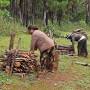 Profile Picture of Le Quynh Archives - Conservation news - Mongabay (@mongabay.com) on Google