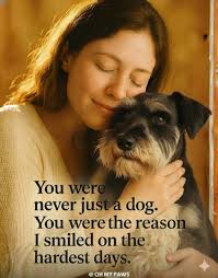 Miniature Schnauzer Puppies For Rescue & Adoption