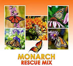Monarch Rescue Wildflower Seeds Bulk 8 Bonus Gardening Ebooks Open Pollinated Wildflower Seed Packets Non Gmo No Milkweed Seeds Wildflower Seeds Milkweed