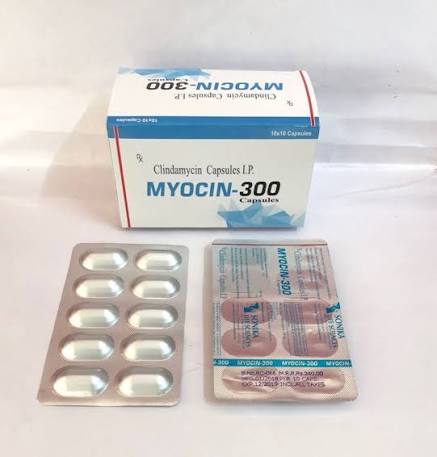 Clindamycin 300 mg Capsules, Packaging Type: Strips at ₹ 2400/box in Mohali