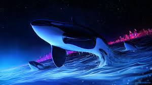 Tons of awesome killer wallpapers to download for free. Dolphin Night Orca Whale Digital Art Killer Whale Wallpaper 4k 2993578 Hd Wallpaper Backgrounds Download