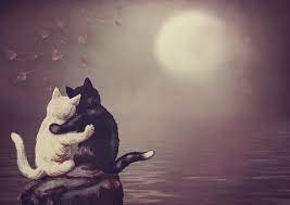 Flickr photos, groups, and tags related to the desktophintergrund flickr tag. Kostenloses Bild Auf Pixabay Vintage Katzen Mond Meer Vintage Katze Kostenlose Bilder Katzen