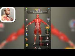 Then maybe the time has come to try following other apps on the web who specialize in creating content which is a bit monotonous but capable of … Idle Human Apk Mod V1 10 0 Diamantes Infinitos Descargar Hack 2021