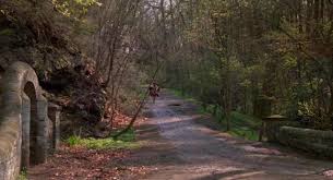 When becoming members of the site, you could use the full range of functions and enjoy the most. Mannequin On The Move 1991 Yify Download Movie Torrent Yts