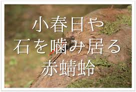 俳句の教科書
