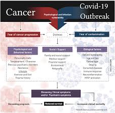 It takes a lot to cope with this fear, so we polled cure® 's social media audience for their advice. Frontiers The Sum Of Fears In Cancer Patients Inside The Context Of The Covid 19 Psychiatry