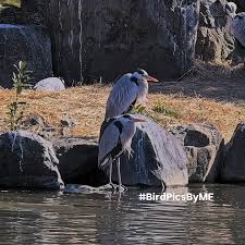 Marc Forman (@mfdsfb) • Instagram photos and videos