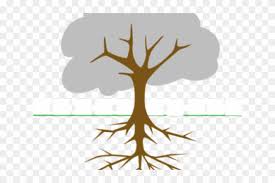 Roots Clipart 10 Leave Tree With Fruits Drawing Png Download 483432 Pikpng Dish herb parsley root vegetable food, vegetable transparent background png clipart. roots clipart 10 leave tree with