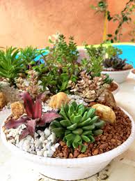 Check spelling or type a new query. Diy Dish Garden Lazos De Cinta Lazos Cintas