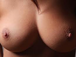 Download photo 1024x768, girls, tits, big, nude, naked, model, nipples,  close-up, sexy plum - ID: 42109