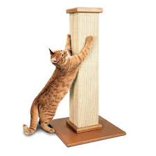 A sisal rope scratching post, carpet base, and dangling ball round this condo out with fun accents for your cat to play with. Tall Cat Scratching Post You Ll Love In 2021 Visualhunt