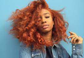 Red Hair Color On Dark Skin Best Hair Color For Natural Black Hair Check More At Http Www Fitnursetaylor Copper Hair Color Natural Hair Styles Hair Styles