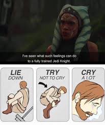 Pin By Jaguarwood On Star Wars Star Wars Humor Star Wars Jokes Funny Star Wars Memes