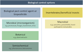 Image result for Biological Agent
