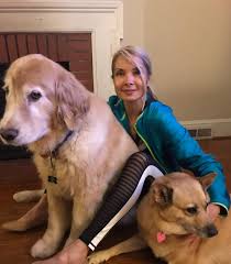 The cheapest month to fly to north carolina is august. Joanna S Pet Sitting 13 Recommendations Charlotte Nc