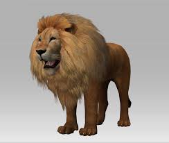 Lion Images 3d View Novocom Top