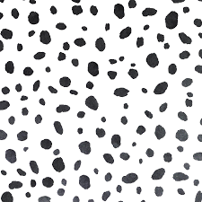 Nothing packs a more powerful home decorating punch than the bold combination of black and white every item on this page was curated by an elle decor editor. Holden Dalmatian Dots Wallpaper Animal Print Black White Trendy Contemporary 5022976129405 Ebay