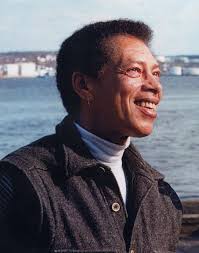 CBC Docs POV" The Skin We're In (TV Episode 2017)