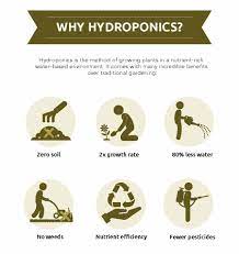 20 Advantages Disadvantages Of Hydroponics That You Should Know Green And Vibrant Hydroponics Hydroponics System Plant Science
