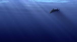 May 30, 2003 · finding nemo: This Scene From Finding Nemo Thalassophobia