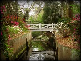 View their 2021 profile to find rankings, test scores, reviews and more. 59 Summerville Sc We May Be Buying A House Here Ideas Summerville South Carolina Azalea Park