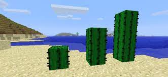 You plant cactus on sand blocks, from cactus seeds (sift sand for them), then break off new blocks as they grow (to keep the cactus growing for later use). Cactus Hexxit Wiki Fandom