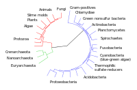 Pin On Evolutionary Biology Of Sex